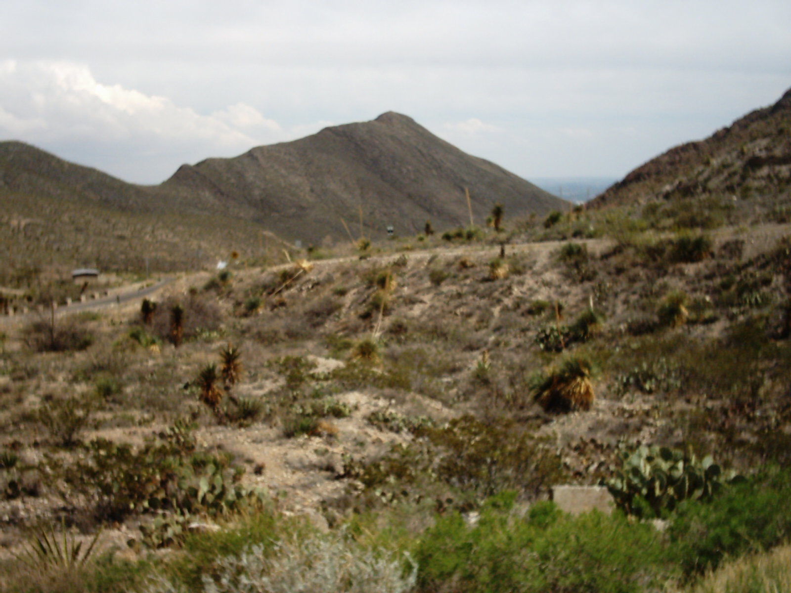 img00431.jpg