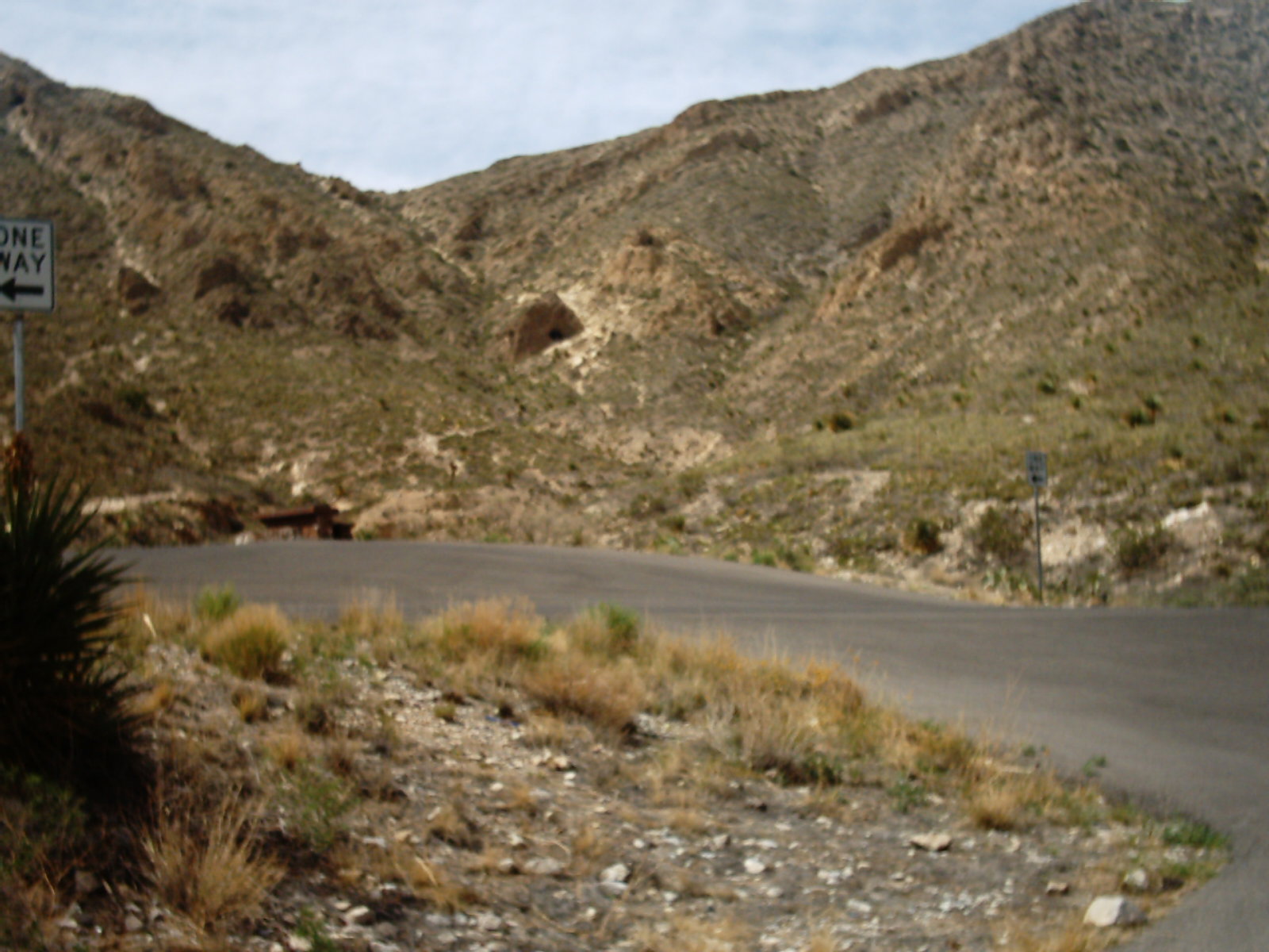 img00433.jpg