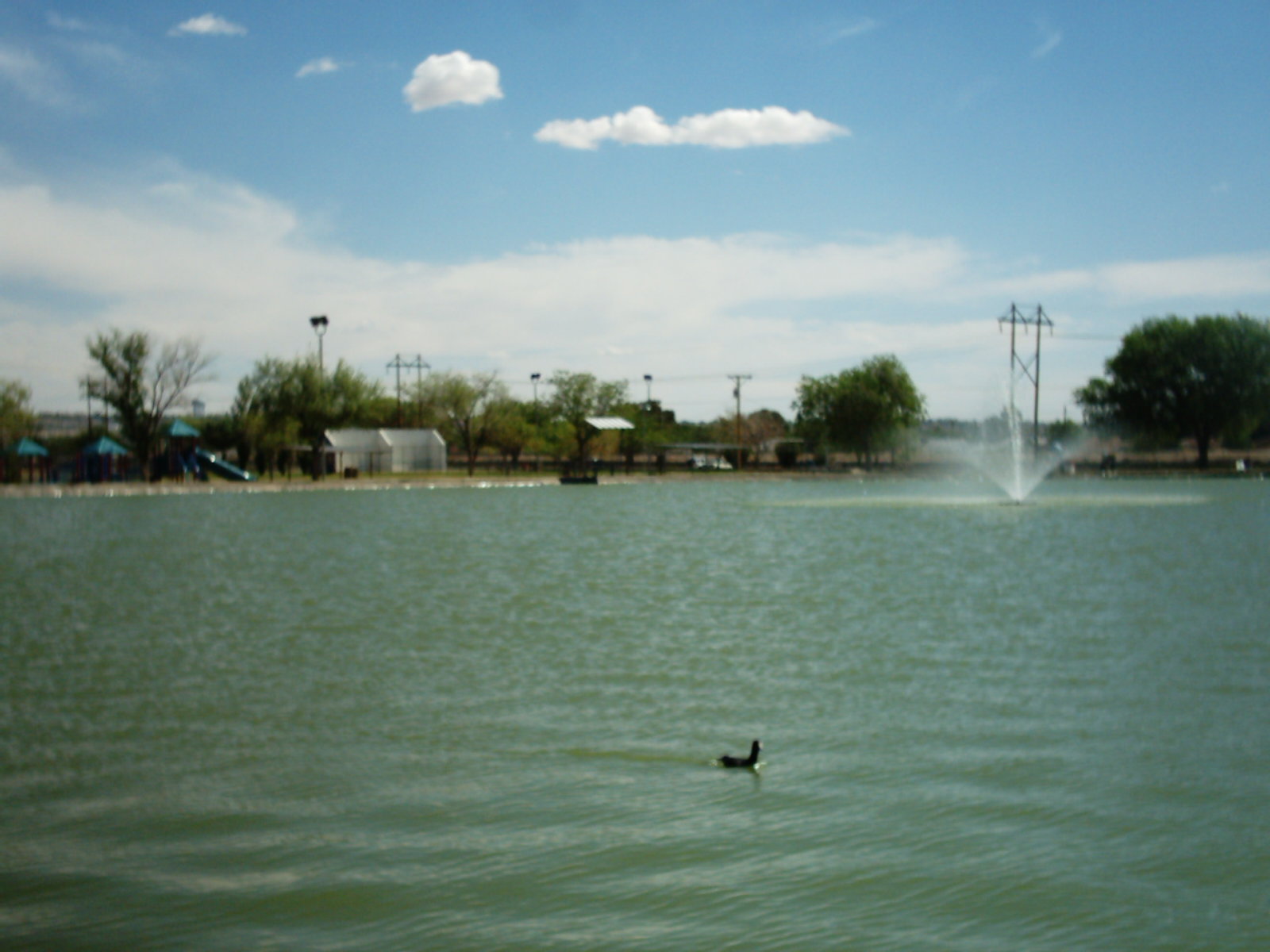 img00446.jpg