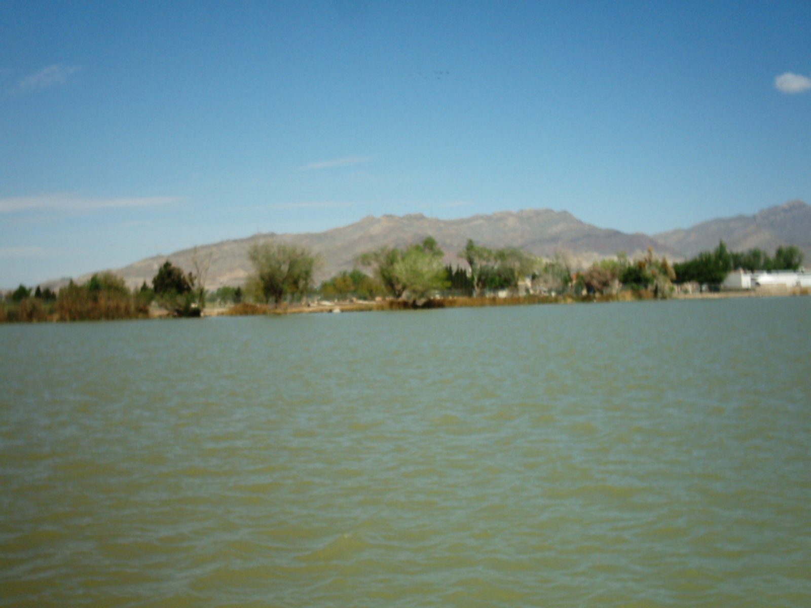 img00453.jpg