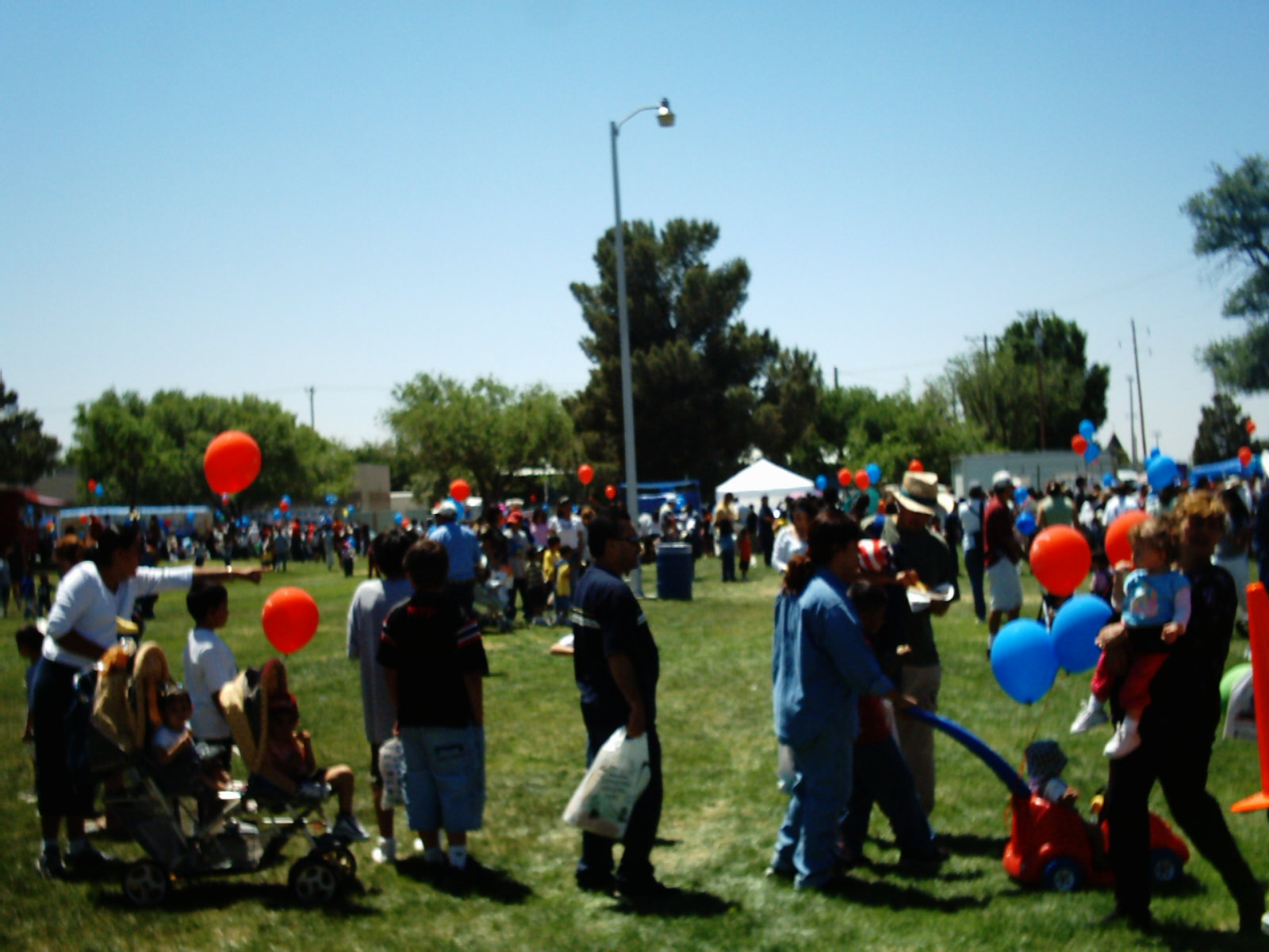 img00557.jpg