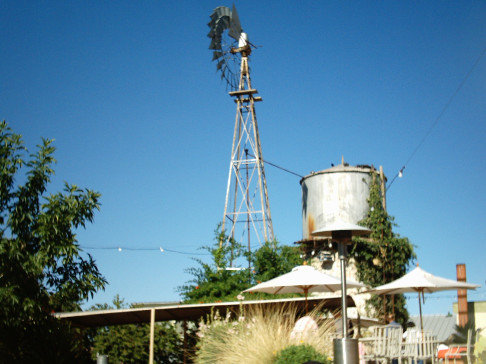 img00675.jpg